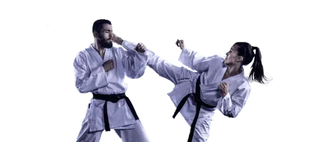 Tae Kwon Do for Teens & Adults